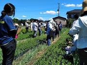 宮城県仙台市を拠点とした、農業系専門学校の運営スタッフを募…