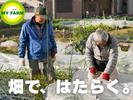JAみどり ぐりんファーム大清水のアルバイト写真