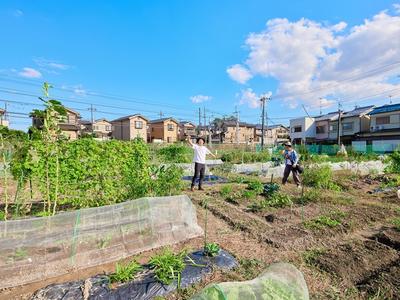 マイファーム 草津農園のアルバイト写真
