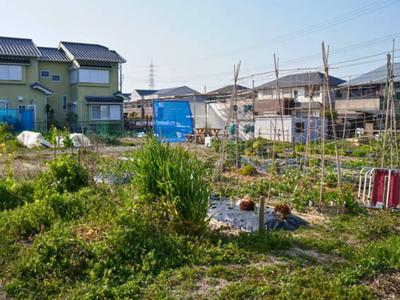 JAみどり ぐりんファーム大清水のアルバイト写真