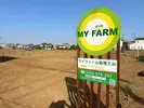 体験農園 マイファーム船橋三山のアルバイト写真