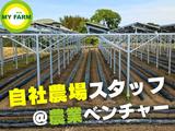 株式会社マイファーム 神栖農場のアルバイト写真