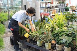 ナンバホームセンター河辺店