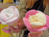 国際秘羊館【064】のアルバイト写真