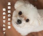 株式会社ニチギワールド 【お仕事先】柏原市円明町／最寄り駅から無料送迎有！カンタンな組立・梱包作業！高時給1320円～＆日払いOK♪土日祝休み＆長期休暇有りのアルバイト写真