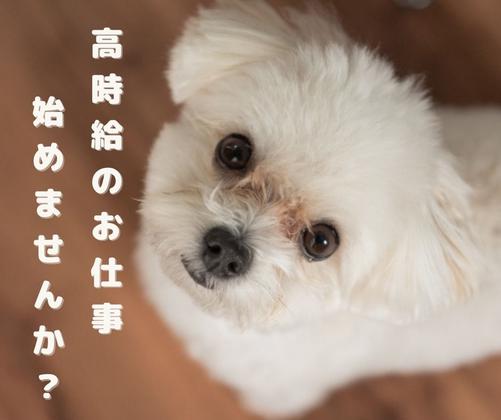 株式会社ニチギワールド 【お仕事先】柏原市円明町／最寄り駅から無料送迎有！カンタンな組立・梱包作業！高時給1320円～＆日払いOK♪土日祝休み＆長期休暇有りのアルバイト写真