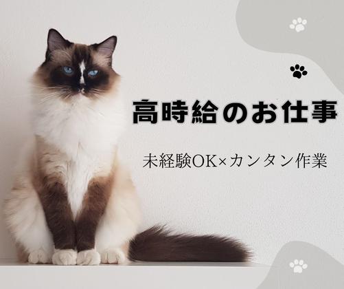 株式会社ニチギワールド 【お仕事先】柏原市円明町／最寄り駅から無料送迎有！倉庫内軽作業スタッフ(ピッキング・入庫)！高時給1320円～＆日払いOK♪土日祝休み＆長期休暇有りのアルバイト写真