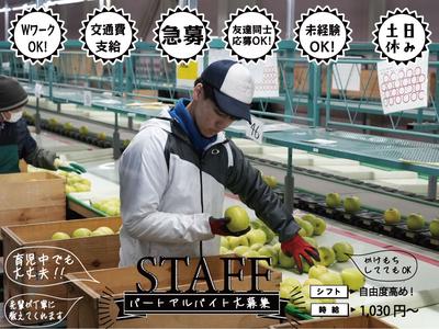 株式会社日本農業(仕分け/袋詰めスタッフ)のアルバイト写真
