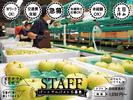 株式会社日本農業(箱/袋詰めスタッフ)のアルバイト写真
