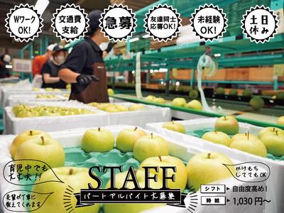 株式会社日本農業(箱/袋詰めスタッフ)のアルバイト