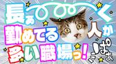 日研トータルソーシング株式会社 JS柏オフィス(お仕事No.4A891-JS)のアルバイト写真