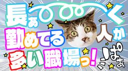 日研トータルソーシング株式会社 JS名古屋オフィス(お仕事No.7A287-JS)