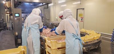 ナッシュ株式会社【1】のアルバイト写真