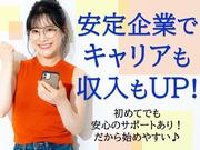 ≪携帯販売|大手家電量販店 au携帯販売・接客・受付≫(株式会社日本パーソナルビジネス 東海支店)/N12_382のアルバイト写真1
