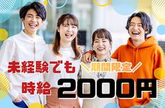 ≪携帯販売|家電量販店の販売スタッフ(auスマホコーナー)≫株式会社日本パーソナルビジネス 大阪本社(K12_1259)施のアルバイト