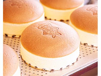 焼きたてチーズケーキのお店 アミーゴ函館店のアルバイト