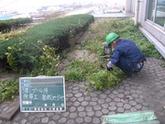 株式会社 大熊造園のアルバイト写真