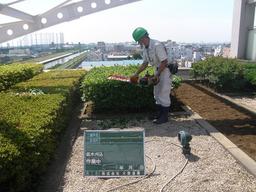 株式会社 大熊造園