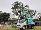 有限会社大熊園芸のアルバイト写真