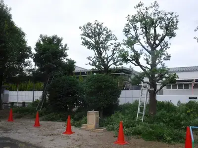 有限会社大熊園芸のアルバイト写真