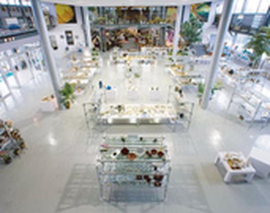 織部　本店のアルバイト写真