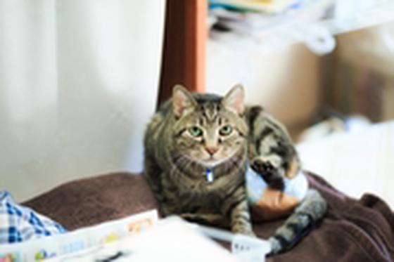 侍のアルバイト写真