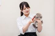 ペッツファースト for cats横浜元町店/tsh00のアルバイト写真3