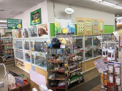 ペットハウス・プーキー刈谷店(契約社員）のアルバイト写真