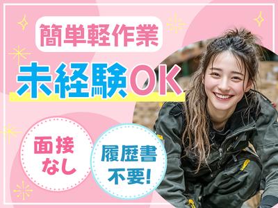 株式会社プロスタッフ　梱包・仕分け・ピッキング・検品　2510kr003のアルバイト写真