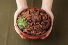 カルビ丼とスン豆腐専門店 韓丼 宮城利府店のアルバイト写真