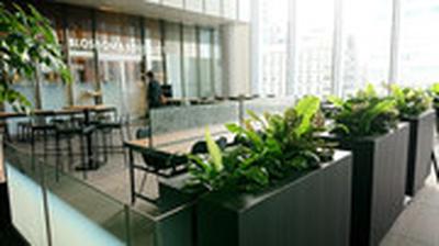 BLOSSOM & BOUQUET 秋葉原UDX店のアルバイト写真