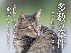 三陽工業株式会社 大阪支店⑱_FF/派大阪のアルバイト