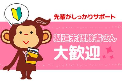 株式会社サルツ/3-265のアルバイト写真