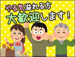 写真2