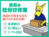 (株)セイノースタッフサービス_東海支店_島田仕分け01/3H5015のアルバイト写真