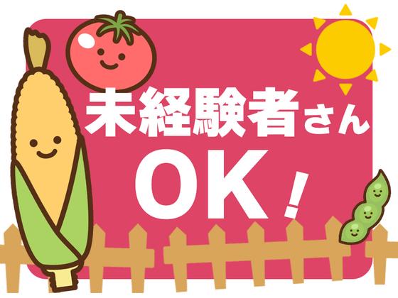 65700_シダックスフードサービス株式会社_名古屋第二赤十字病院 内厨房_289260_AP・補のアルバイト写真