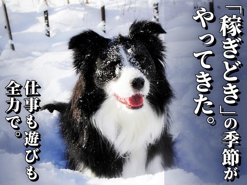 ＼年末年始は稼ぎどき！／ホームセンターでの駐車場警備・イルミネー...