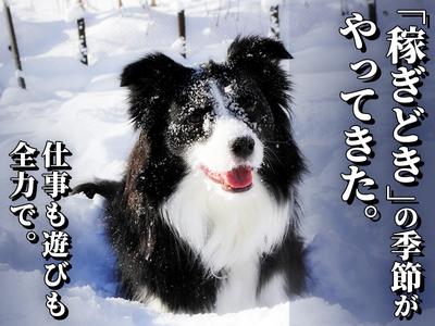 シンテイ警備株式会社 埼玉支社 蕨(9)エリア/A3203200103のアルバイト