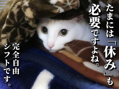 シンテイ警備株式会社 埼玉支社 浦和・北浦和・与野(9)エリア/A3203200103のアルバイト写真