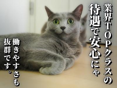 シンテイ警備株式会社 埼玉支社 浦和・北浦和・与野(9)エリア/A3203200103のアルバイト写真