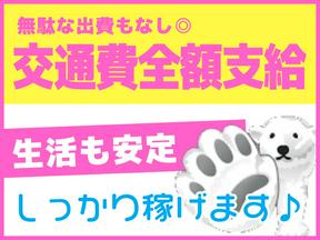 シンテイ警備株式会社 津田沼支社 浦安(千葉)(8)エリア/A3203200132のアルバイト写真