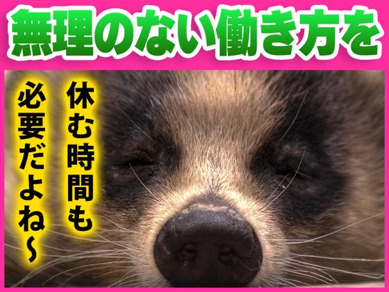 シンテイ警備株式会社 池袋支社 新宿御苑前(9)エリア/A3203200108のアルバイト写真