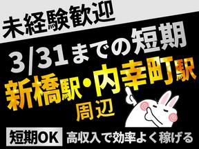 シンテイ警備株式会社 池袋支社 (新橋駅・内幸町駅周辺6)西小山エリア/A3203200108のアルバイト写真