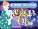 シンテイ警備株式会社 川崎支社 扇町(神奈川)(大井)31エリア(夏のイベント)/A3203200110のアルバイト写真