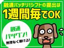 シンテイ警備株式会社 茨城支社 龍ケ崎市(15)エリア/A3203200115のアルバイト写真
