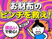 シンテイ警備株式会社 松戸支社 荒川遊園地前(32)エリア/A3203200113のアルバイト写真1