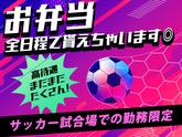 シンテイ警備株式会社 錦糸町支社 江戸川橋・千石・新大塚(23)エリア/A3203200119のアルバイト写真
