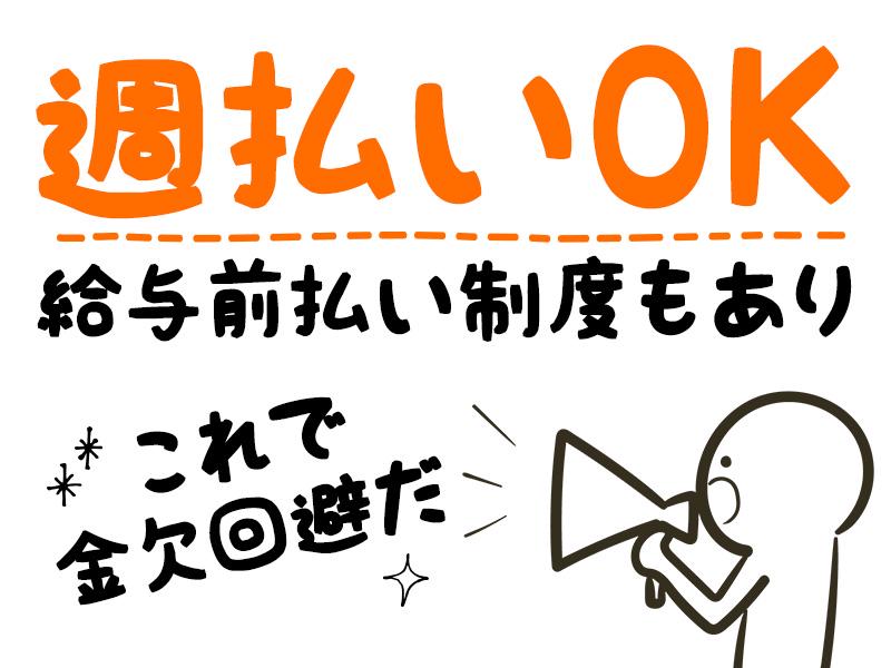 シンテイ警備株式会社 水戸営業所 涸沼(11)エリア/A3203200116の求人画像