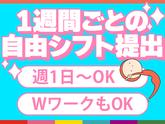 シンテイ警備株式会社 柏支社 小金城趾・幸谷・新松戸(印西牧の原×交通誘導)エリア/A3203200128のアルバイト写真