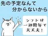 シンテイ警備株式会社 柏支社 三郷・新三郷・三郷中央(交通誘導)エリア/A3203200128のアルバイト写真